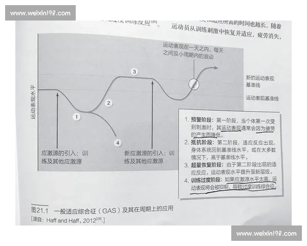 体育心理状态对运动表现与竞技潜力的全面影响研究