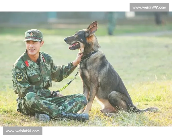 替补奇兵逆袭赛场震撼瞬间引发观众热血共鸣 替补奇兵逆袭赛场震撼瞬间引发观众热血共鸣